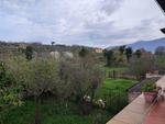 SOLUZIONE SEMINDIPENDENTE SU TRE LIVELLI IMMERSA NEL VERDE in Vendita