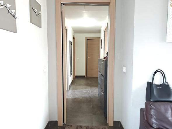  id.5277341