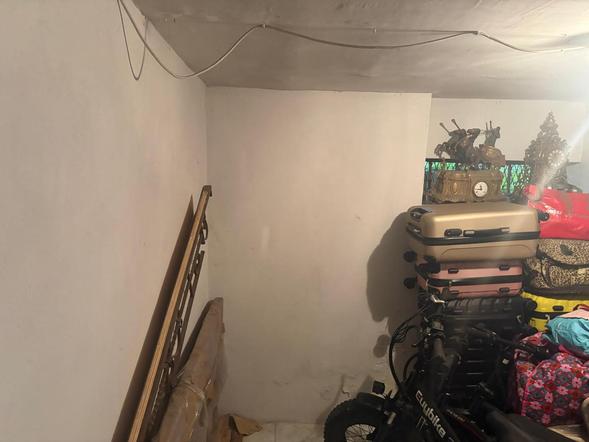  id.5298199