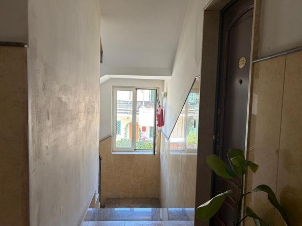  id.5305137